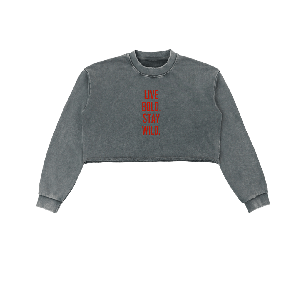 Snowwash Crop Sweatshirt - Wolvyn Apparel