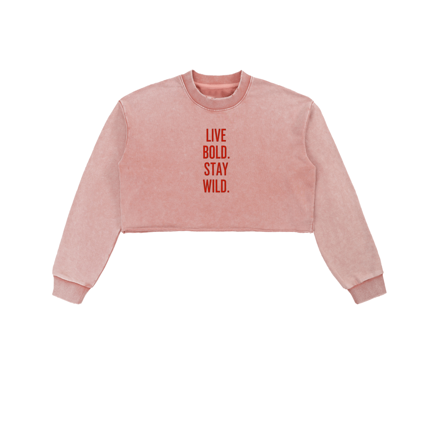 Snowwash Crop Sweatshirt - Wolvyn Apparel