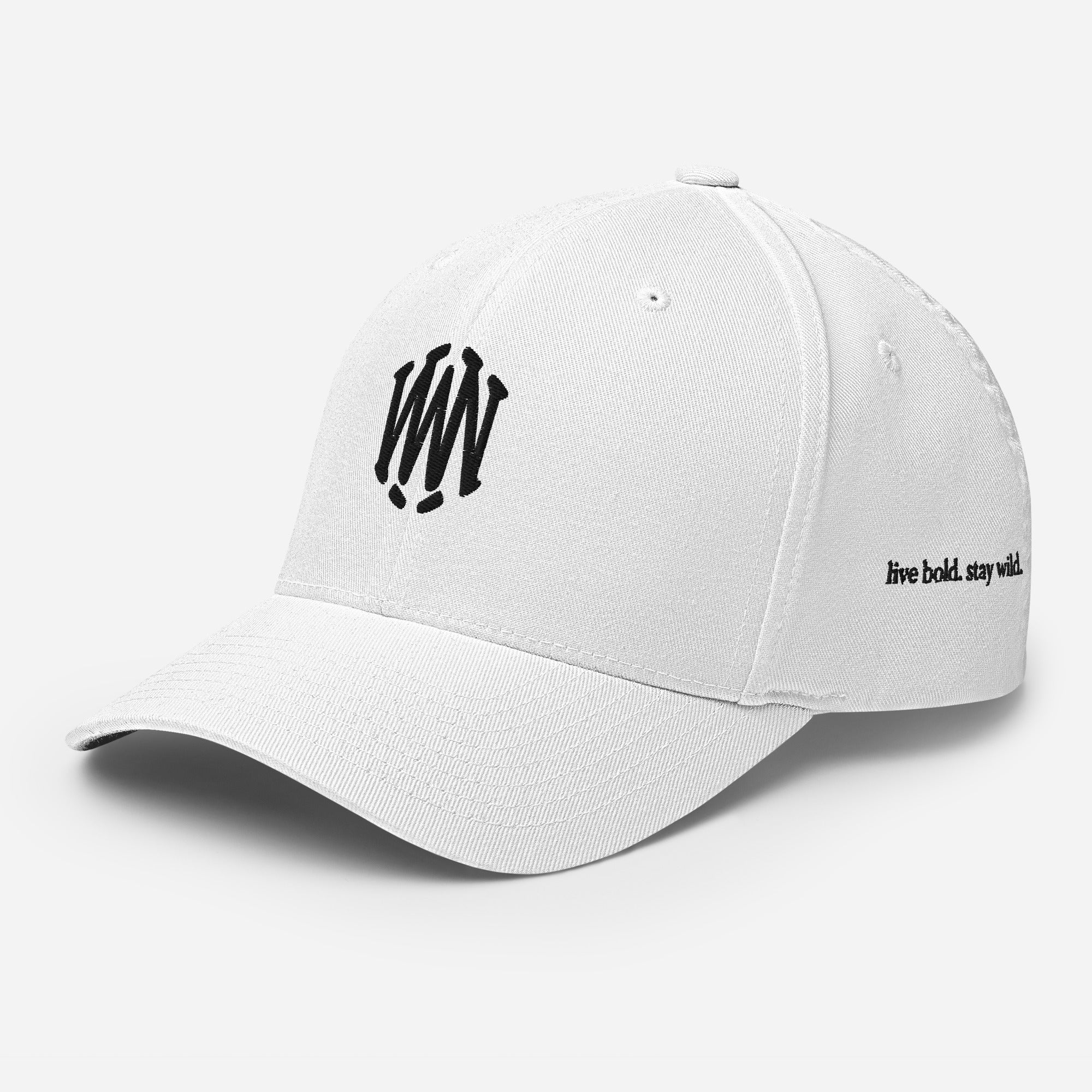 Wolvyn Black Stitch Structured Twill Cap - Wolvyn Apparel